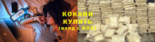 твердый Аркадак