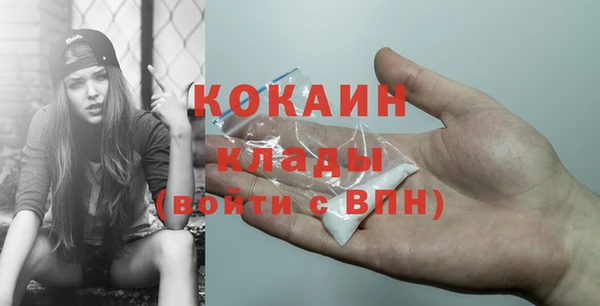 твердый Аркадак