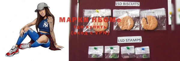 дживик Баксан