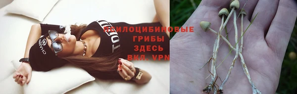 индика Балабаново