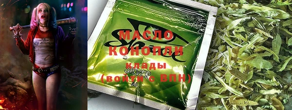 индика Балабаново