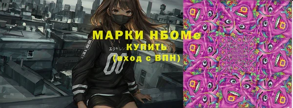 индика Балабаново