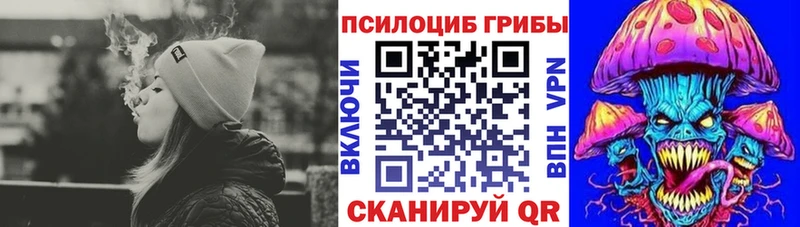 Псилоцибиновые грибы мицелий  Купить закладки  Домодедово 