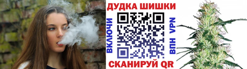Купить закладки  Домодедово  Каннабис сатива 